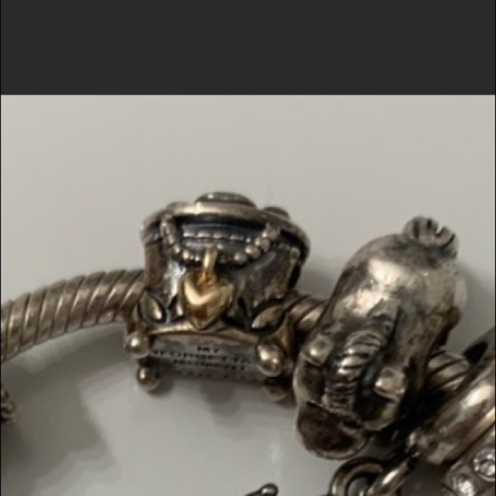 Pandora charm